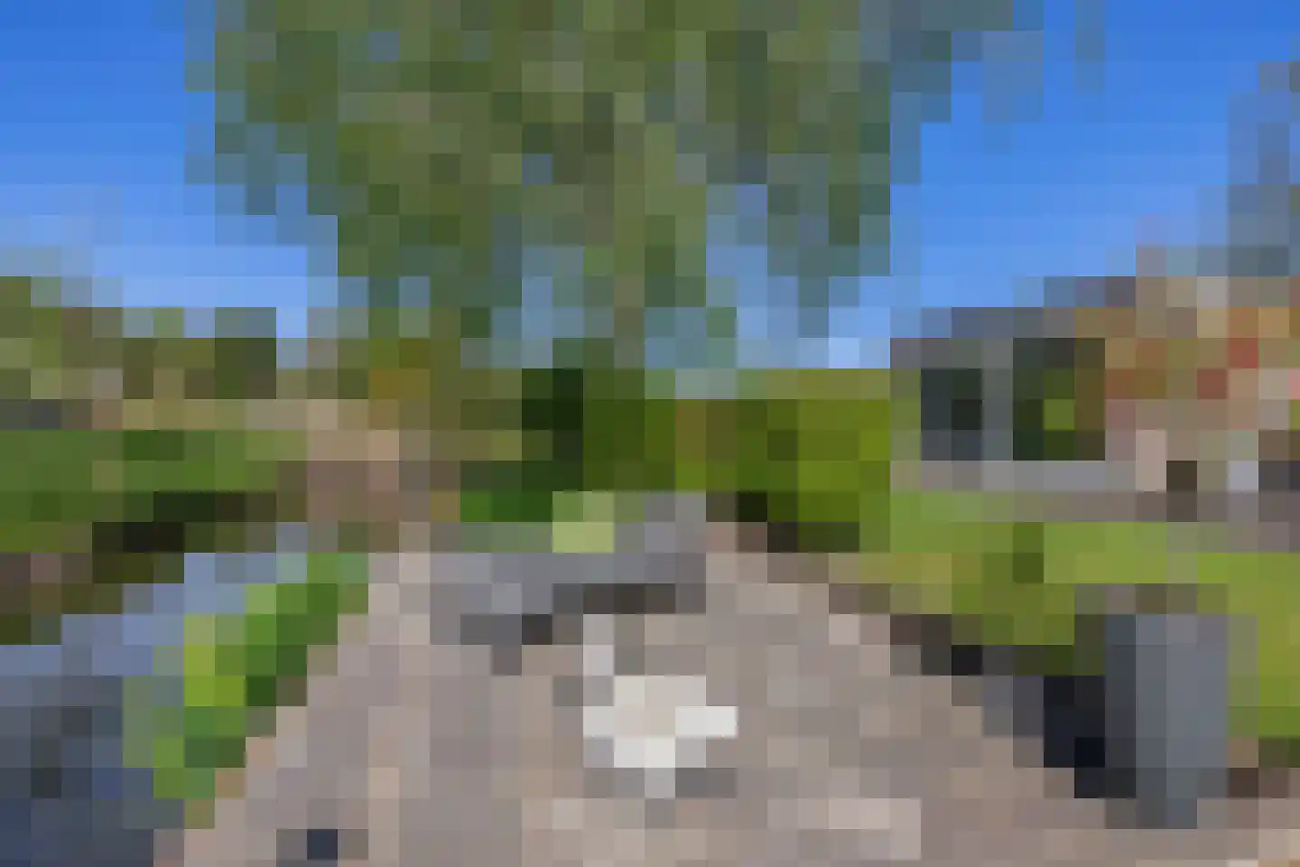 Distelveld 12 Waddinxveen thumbnail 17