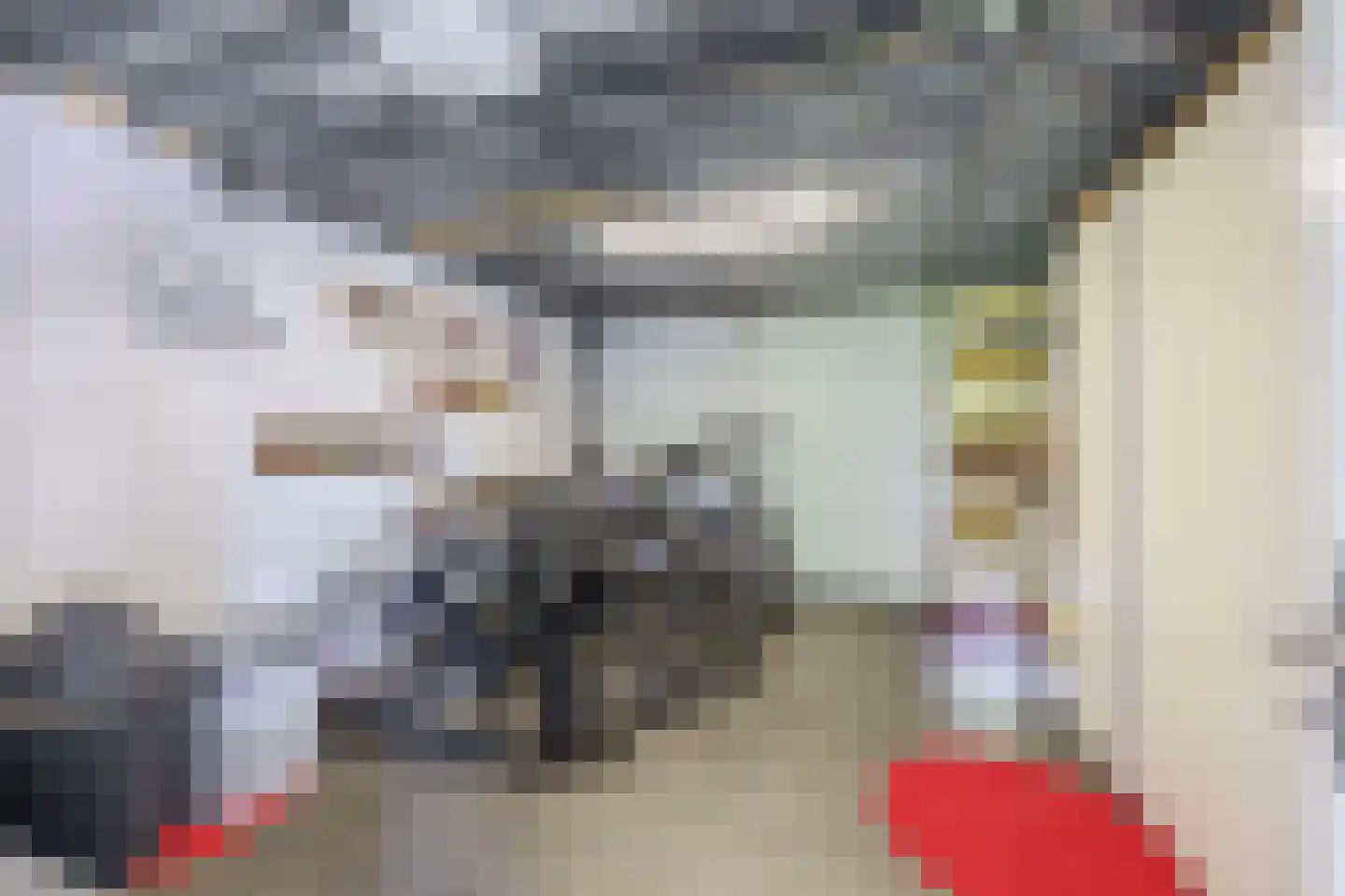 Distelveld 12 Waddinxveen thumbnail 36