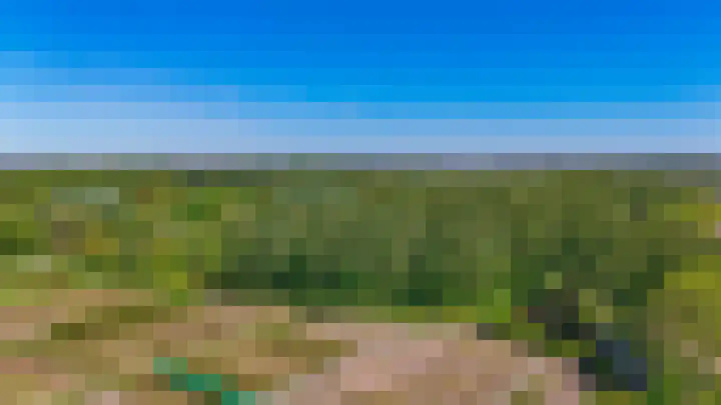 Distelveld 12 Waddinxveen thumbnail 38