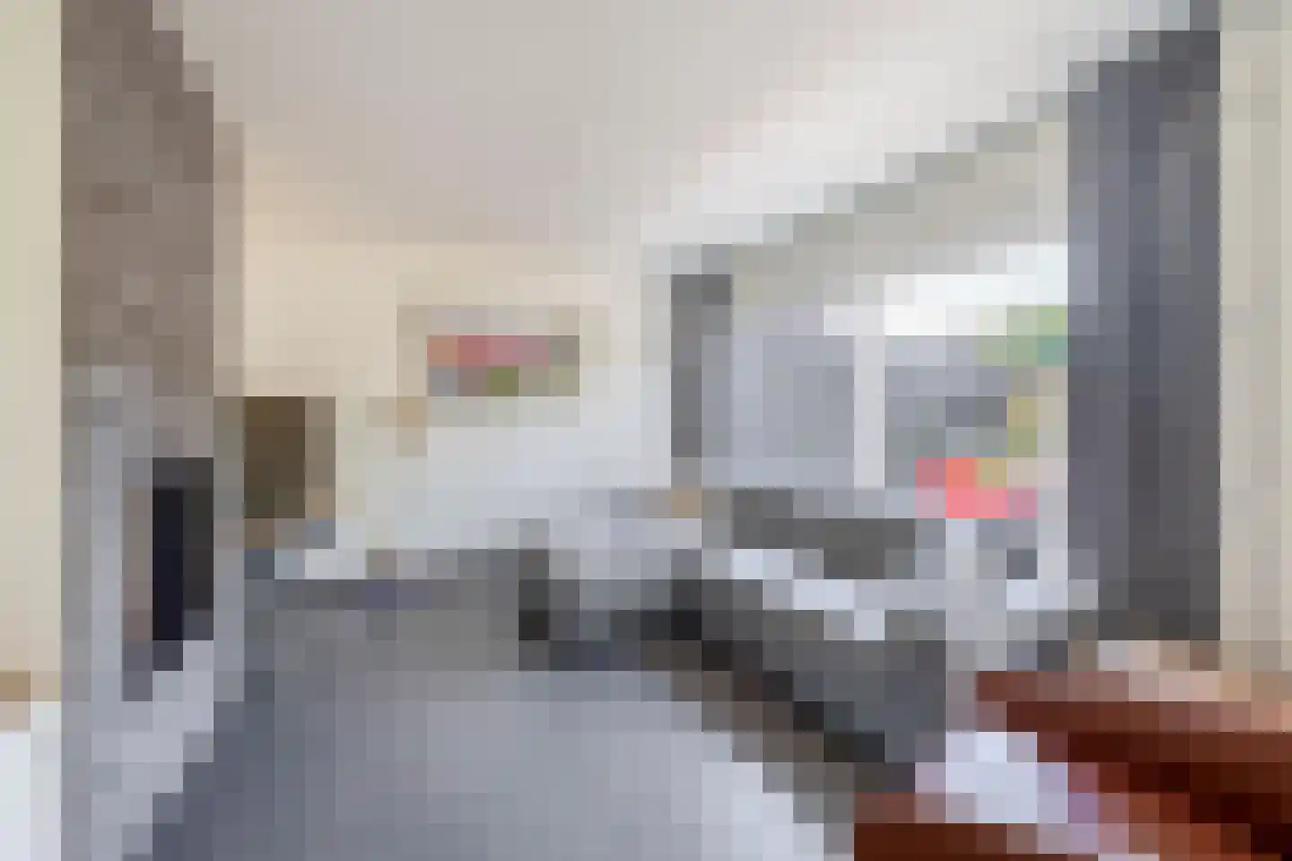 Distelveld 12 Waddinxveen thumbnail 7