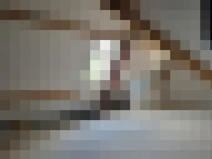 Distelveld 12 Wintelre thumbnail 10