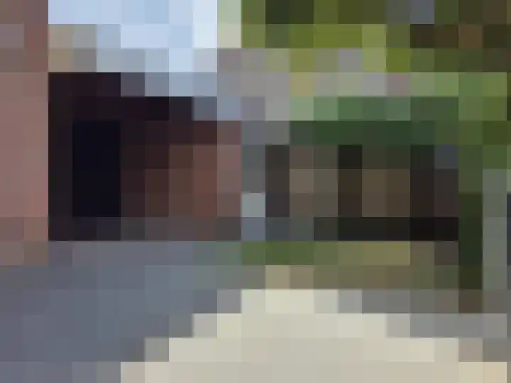 Distelveld 12 Wintelre thumbnail 11