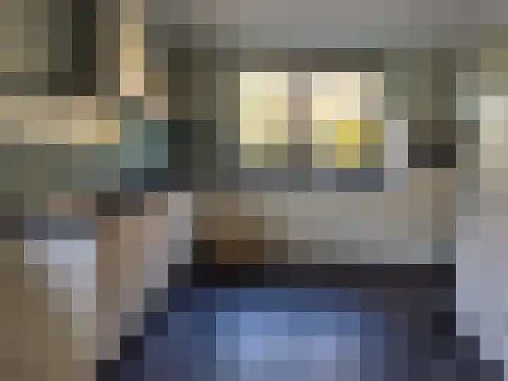 Distelveld 12 Wintelre thumbnail 4
