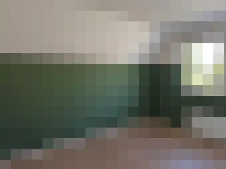 Distelveld 12 Wintelre thumbnail 8