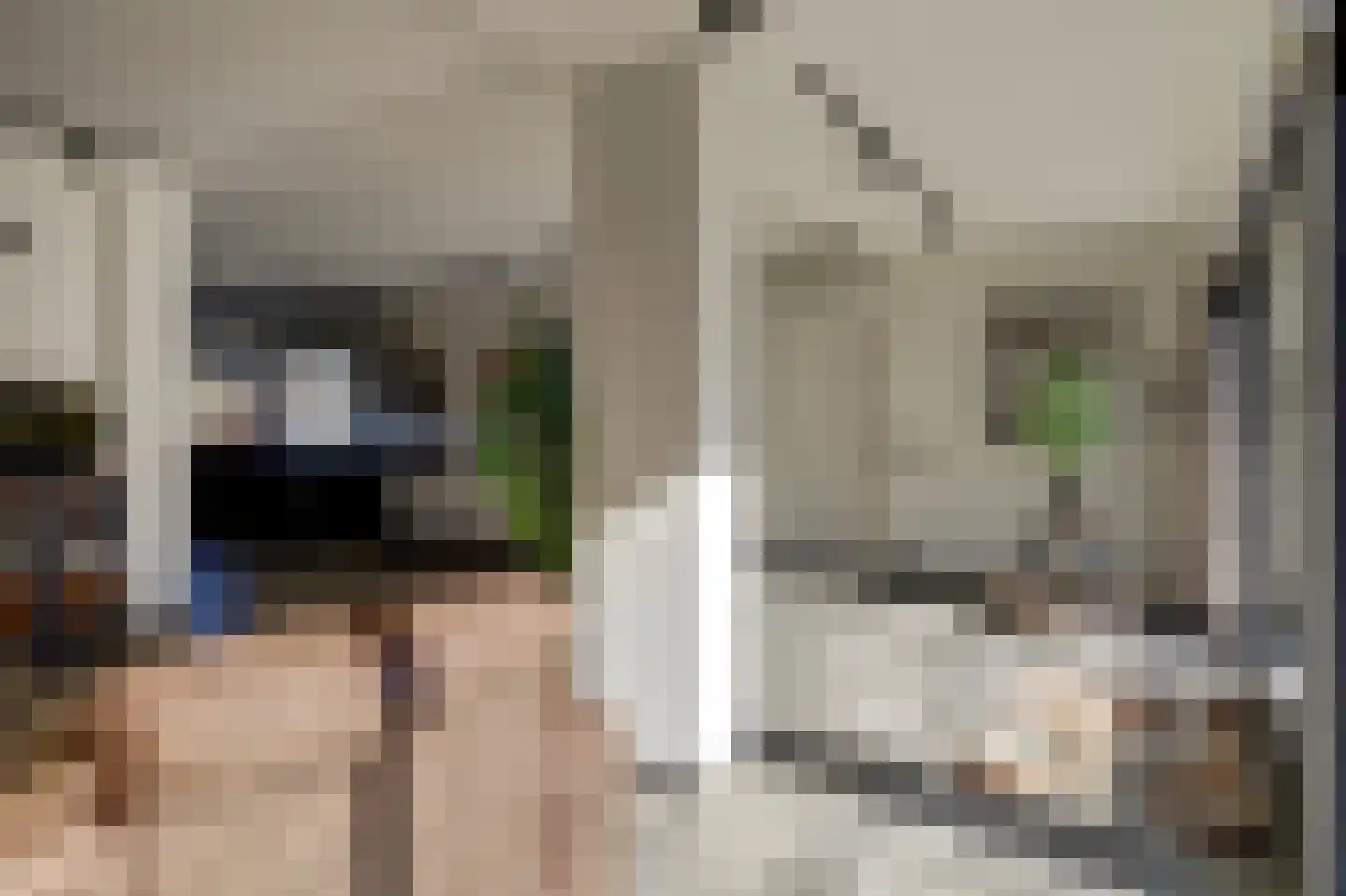 Distelveld 16 Waddinxveen thumbnail 17
