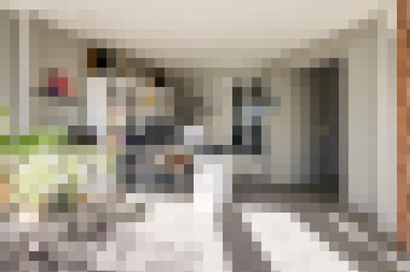 Distelveld 16 Waddinxveen thumbnail 30