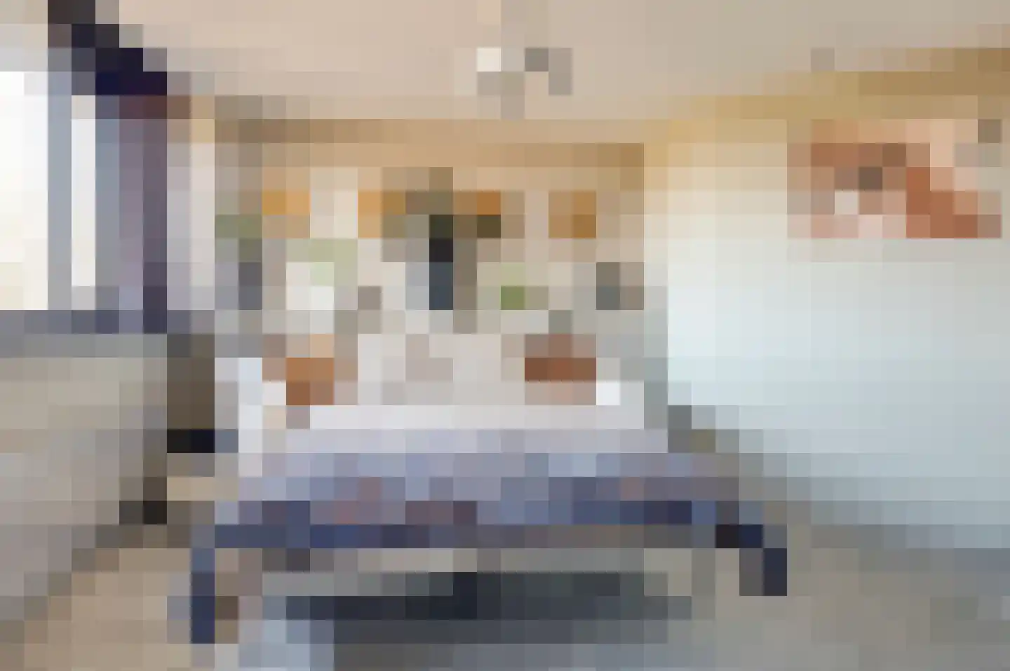 Distelveld 16 Waddinxveen thumbnail 38