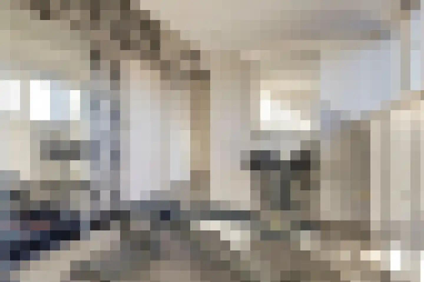 Distelveld 16 Waddinxveen thumbnail 46