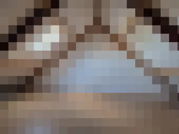 Distelveld 28 Wintelre thumbnail 11