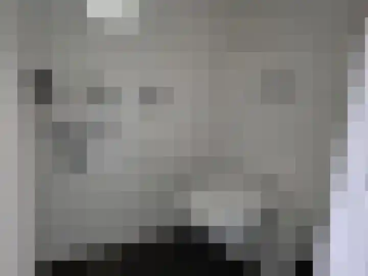 Distelveld 28 Wintelre foto 3