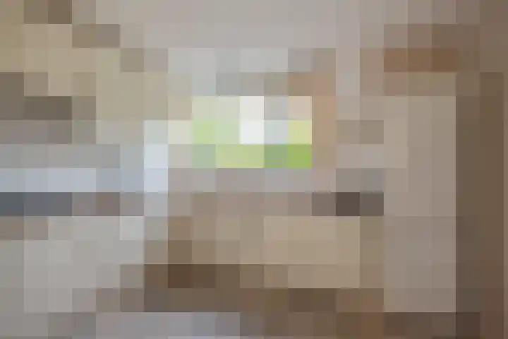 Distelveld 3 Den Haag thumbnail 10