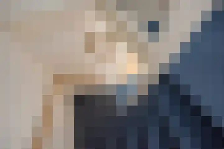 Distelveld 3 Den Haag thumbnail 21
