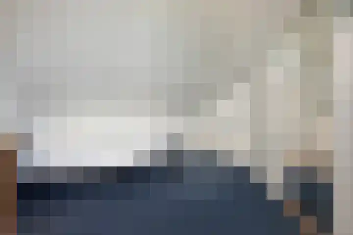 Distelveld 3 Den Haag thumbnail 23