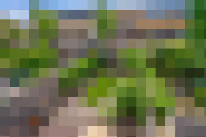 Distelveld 3 Den Haag thumbnail 25