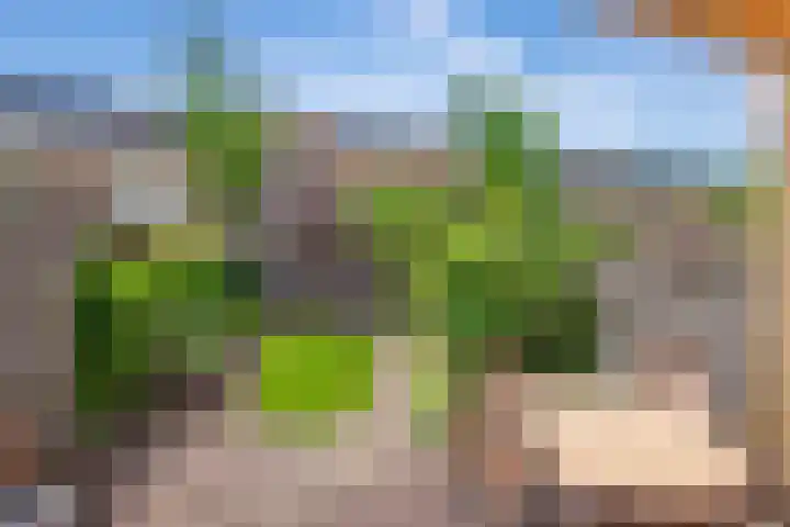 Distelveld 3 Den Haag thumbnail 26