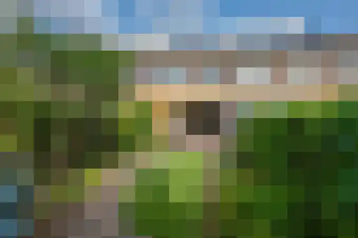 Distelveld 3 Den Haag thumbnail 27