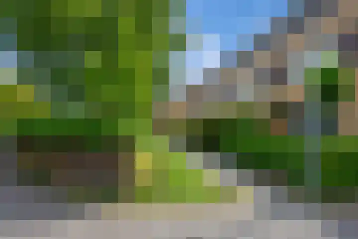 Distelveld 3 Den Haag thumbnail 29