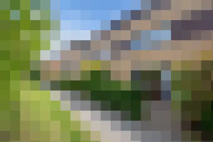 Distelveld 3 Den Haag thumbnail 30