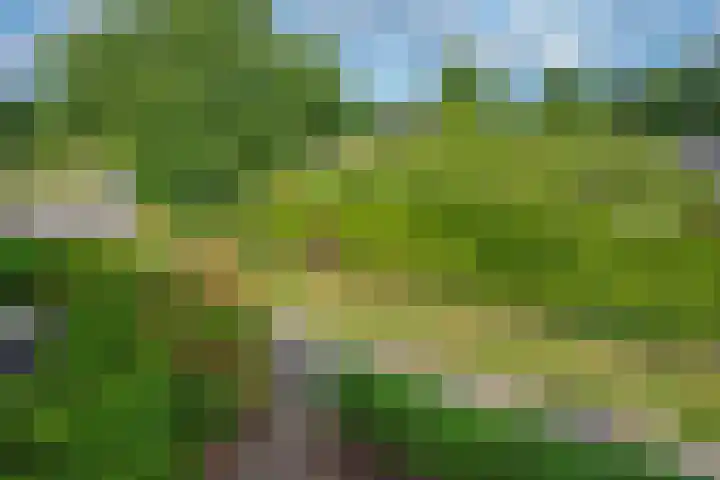 Distelveld 3 Den Haag thumbnail 31