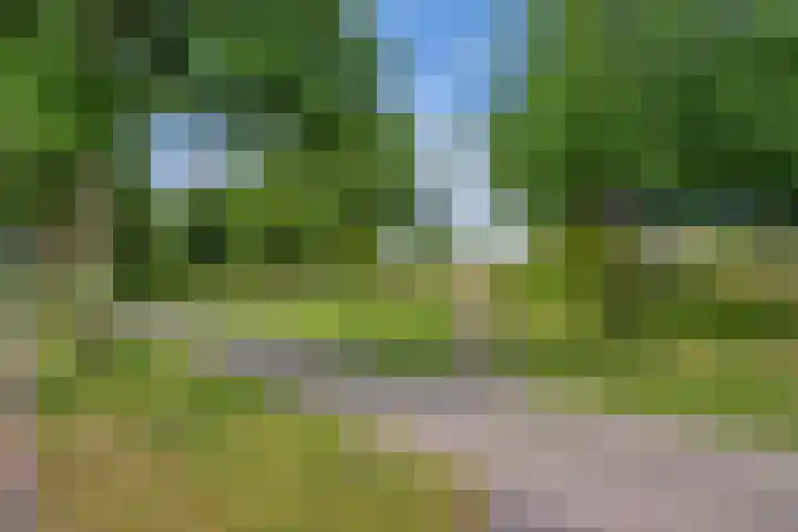 Distelveld 3 Den Haag thumbnail 32