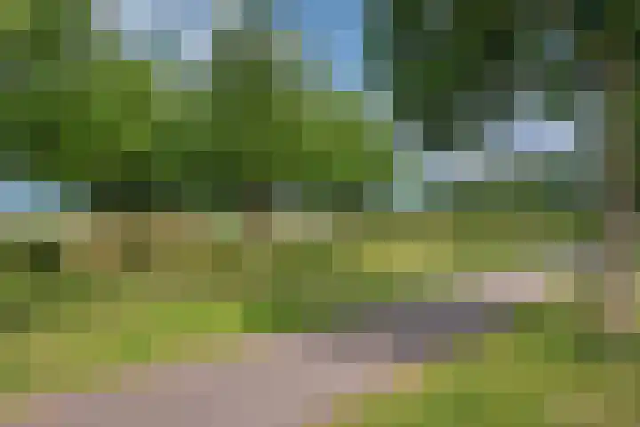 Distelveld 3 Den Haag thumbnail 33