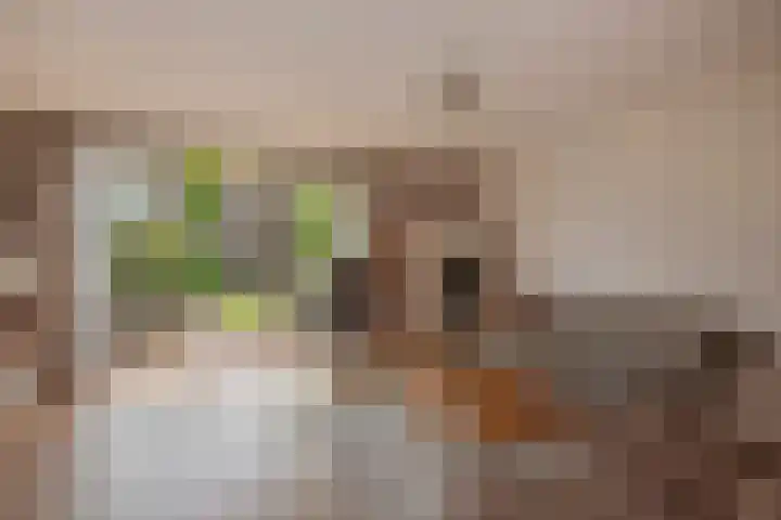 Distelveld 3 Den Haag thumbnail 4