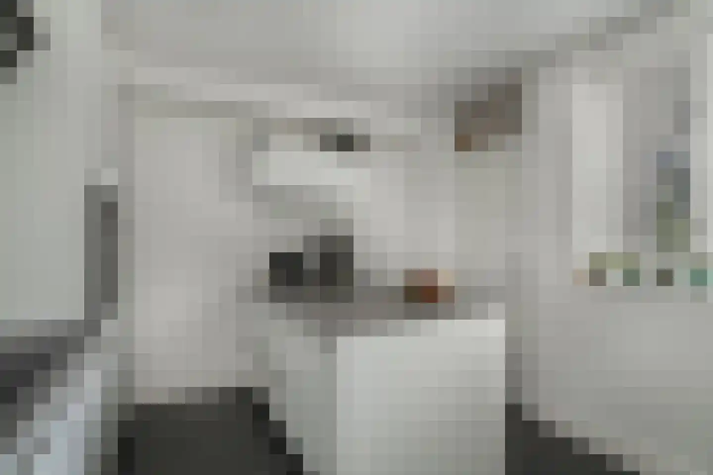 Distelveld 8 Den Dungen thumbnail 11