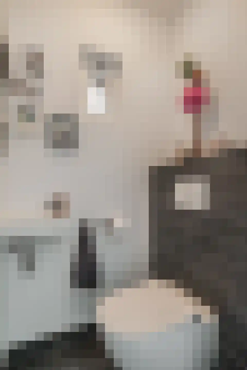 Distelveld 8 Den Dungen thumbnail 16
