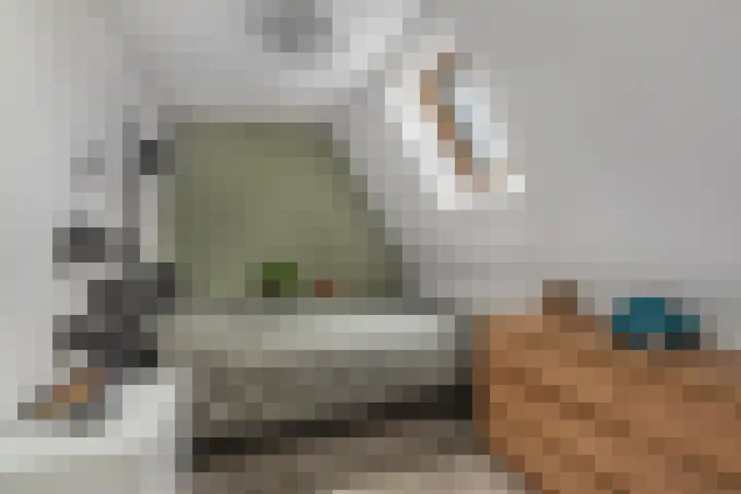 Distelveld 8 Den Dungen thumbnail 19