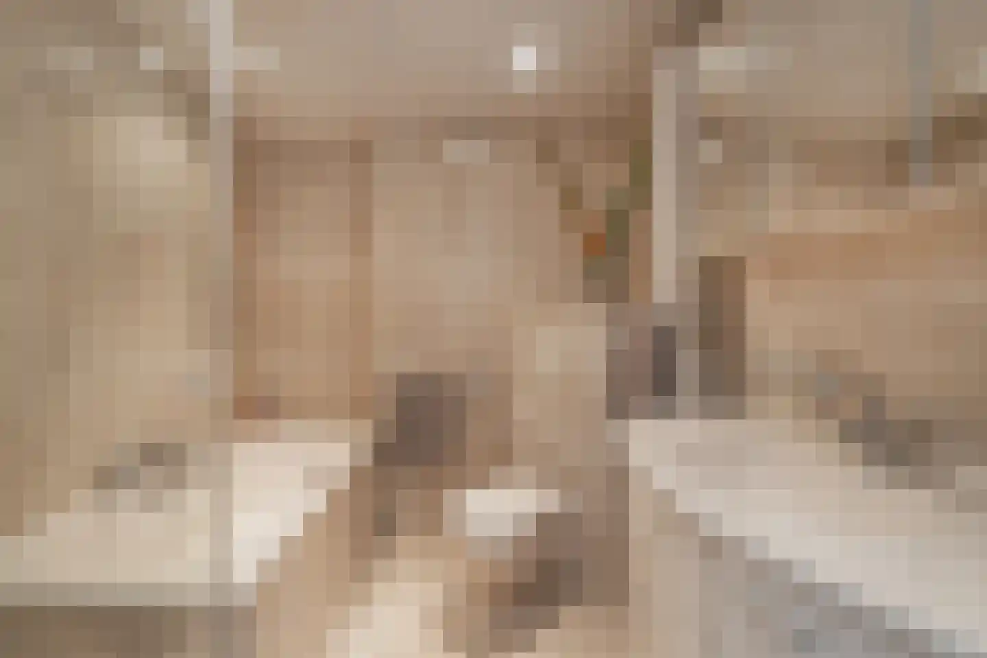 Distelveld 8 Den Dungen thumbnail 22
