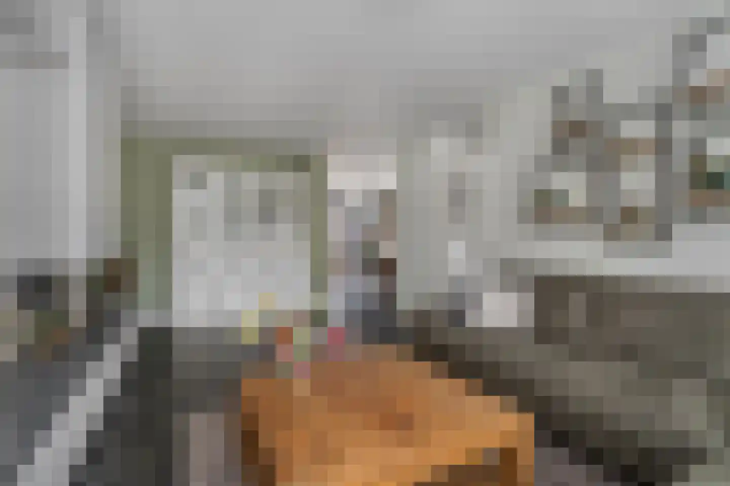 Distelveld 8 Den Dungen thumbnail 6