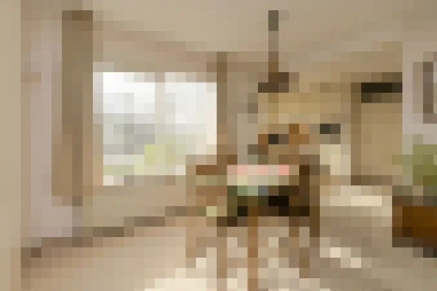 Distelvink 1 Breda thumbnail 10