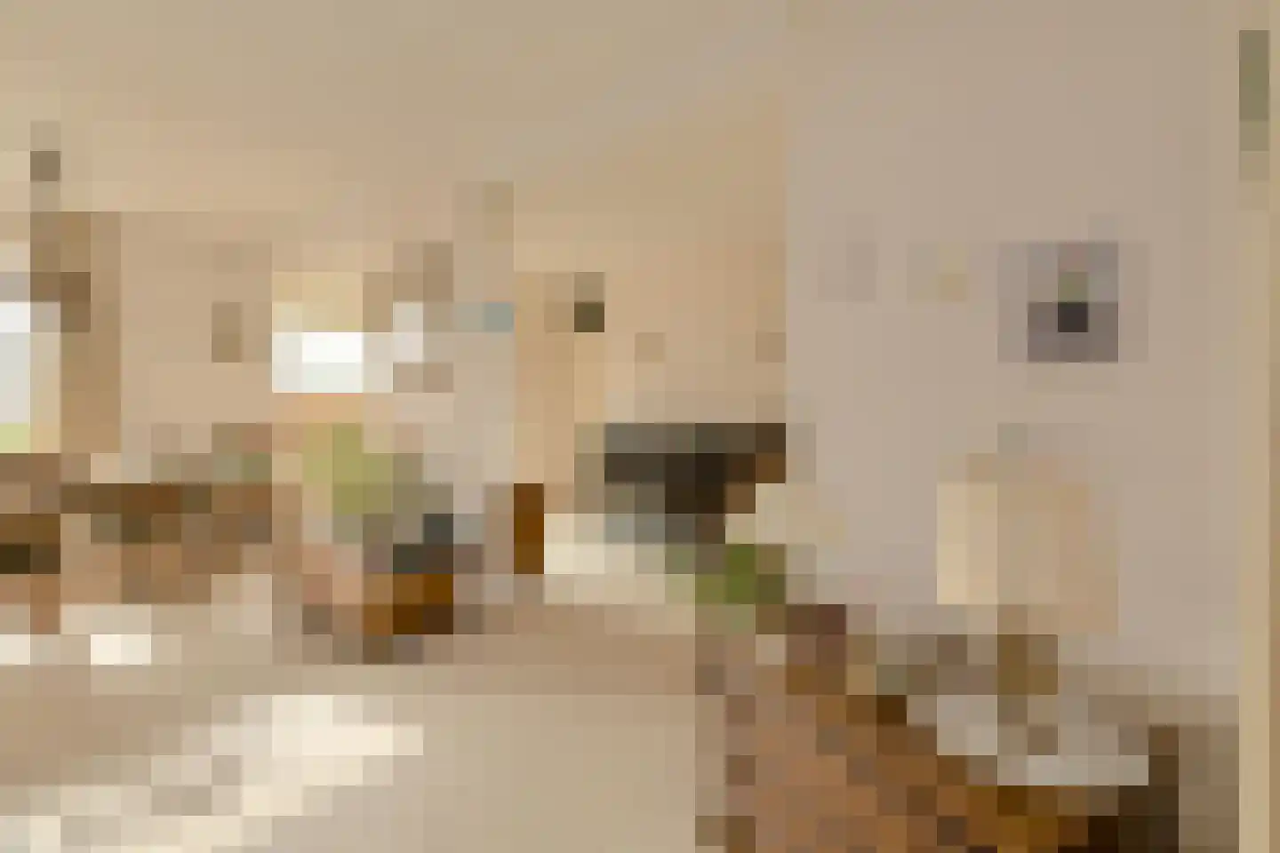 Distelvink 1 Breda thumbnail 12