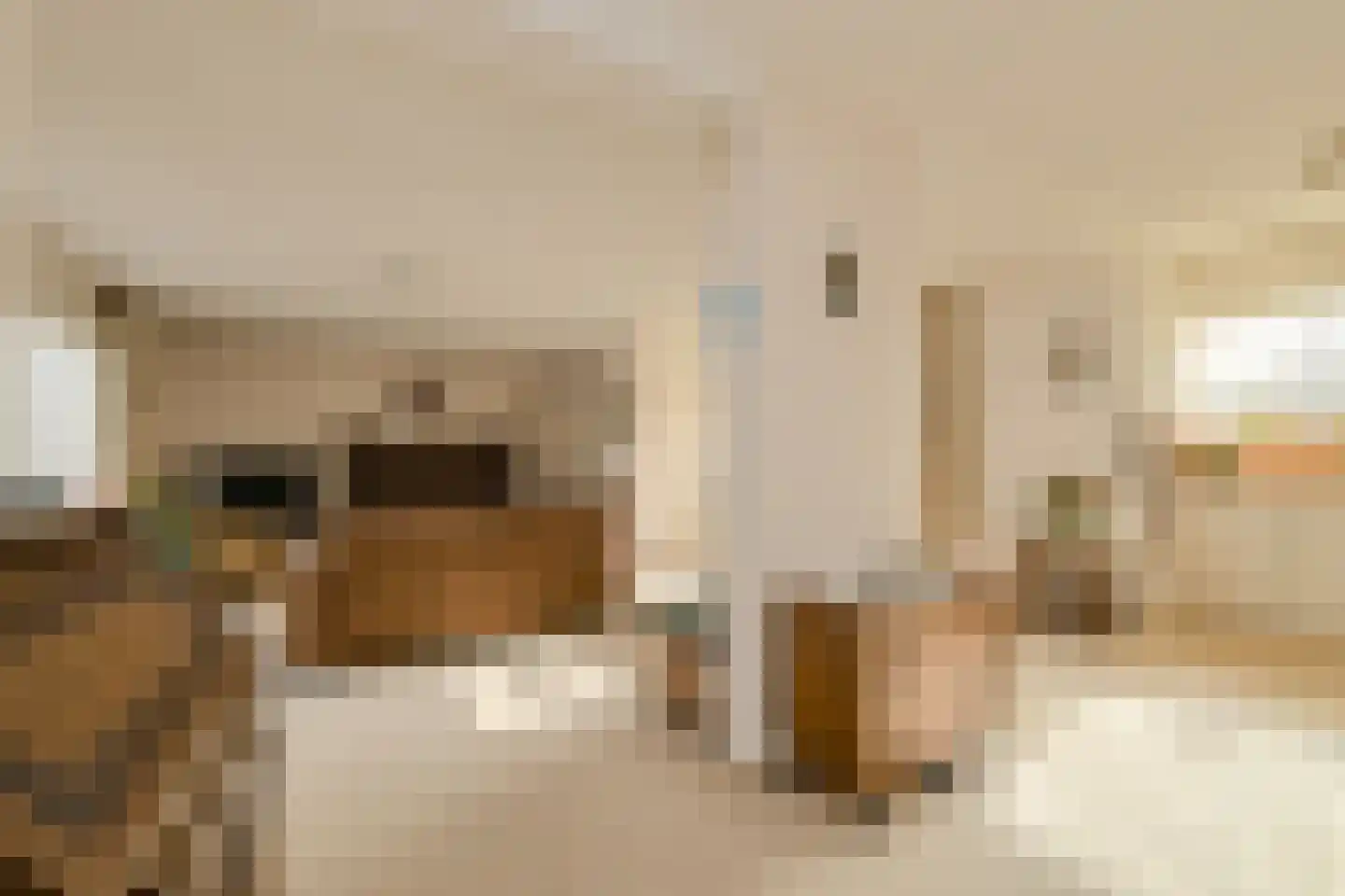 Distelvink 1 Breda thumbnail 13