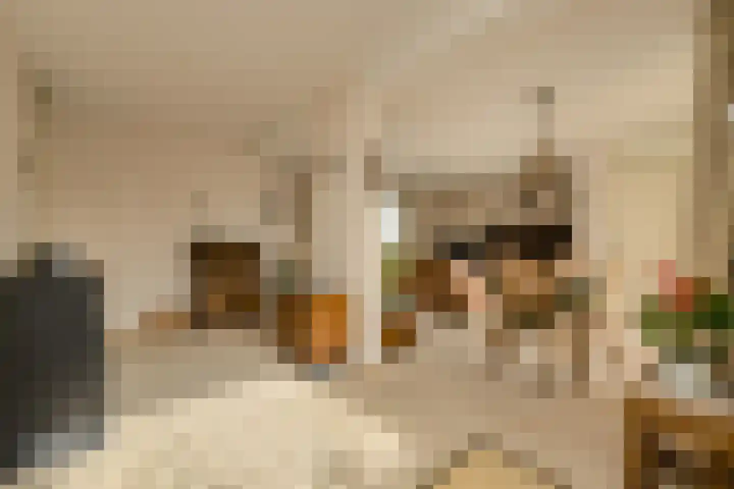 Distelvink 1 Breda thumbnail 16