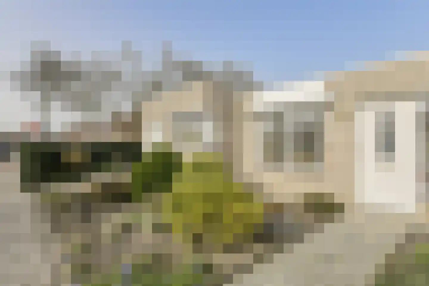 Distelvink 1 Breda thumbnail 34