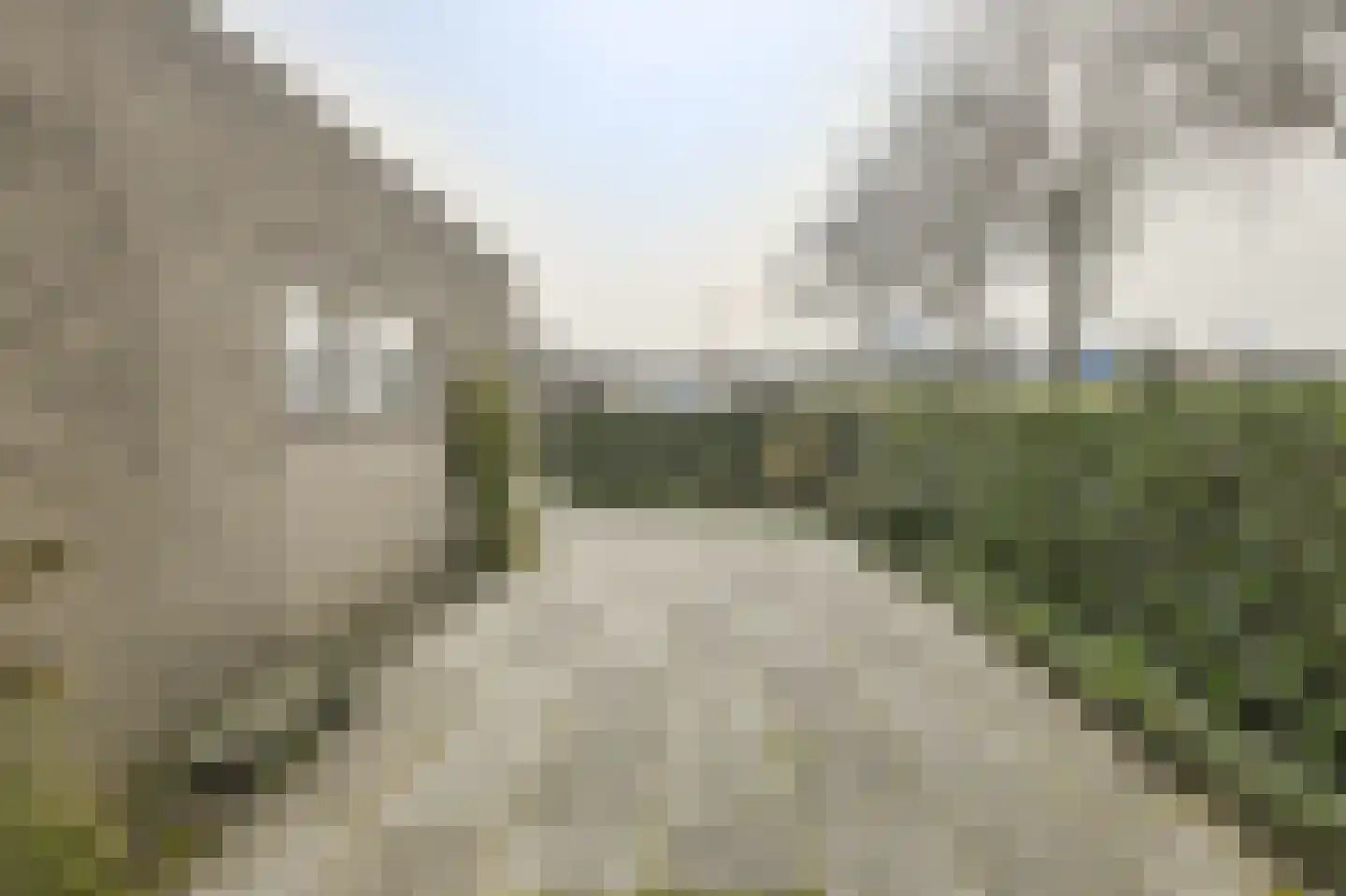 Distelvink 1 Breda thumbnail 35