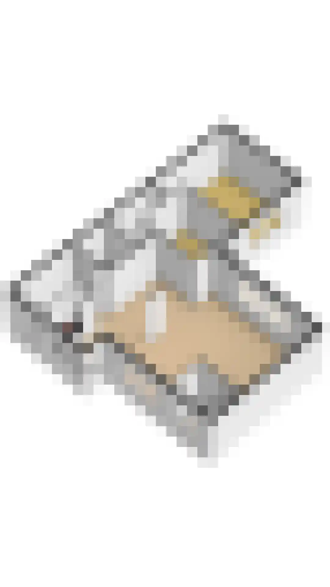 Distelvink 1 Breda thumbnail 37