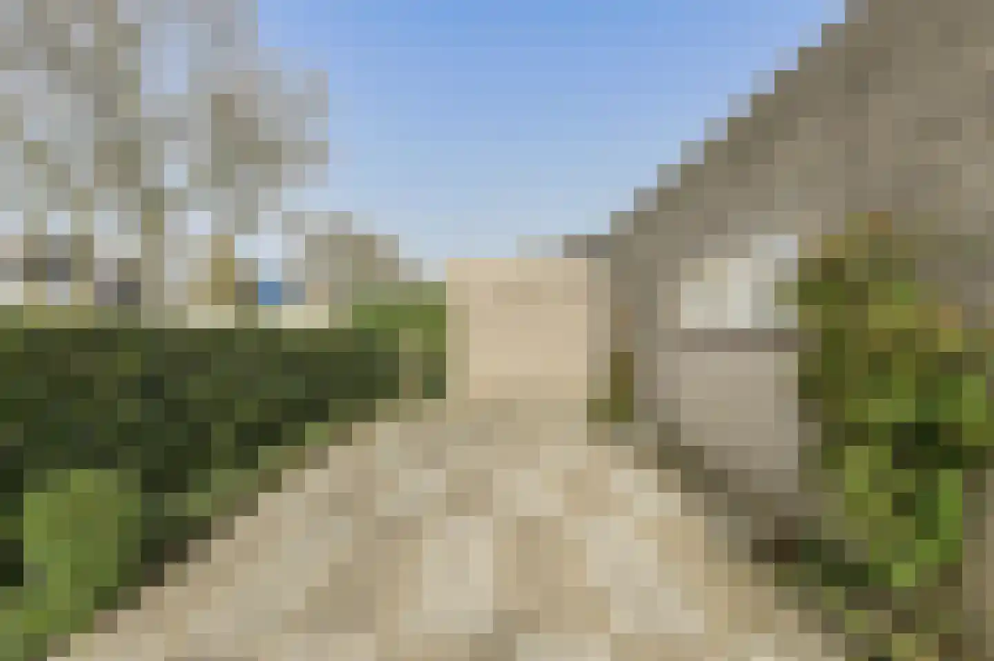 Distelvink 1 Breda thumbnail 5