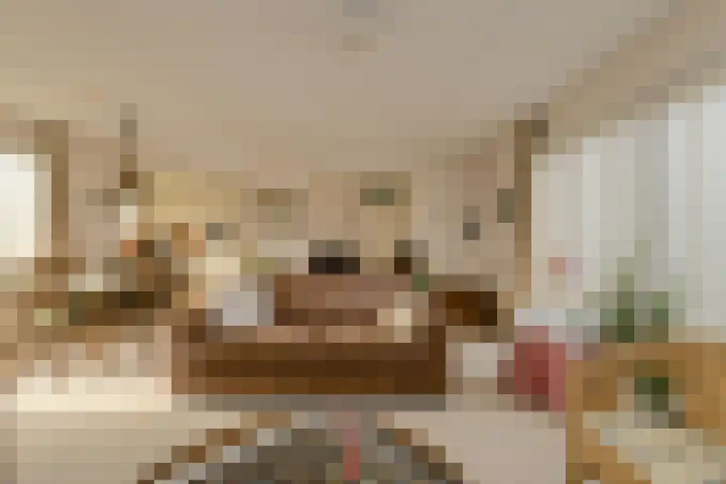 Distelvink 1 Breda thumbnail 9