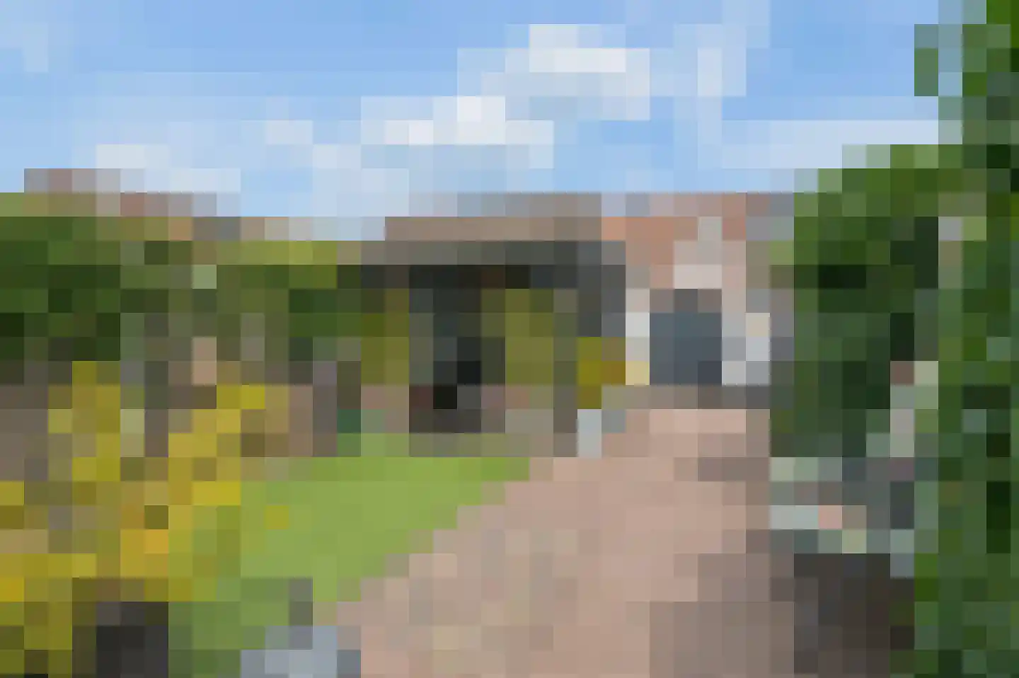 Distelvink 25 Veenendaal thumbnail 25