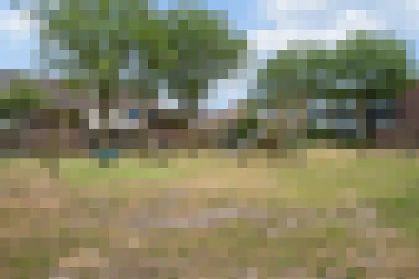 Distelvink 25 Veenendaal thumbnail 30
