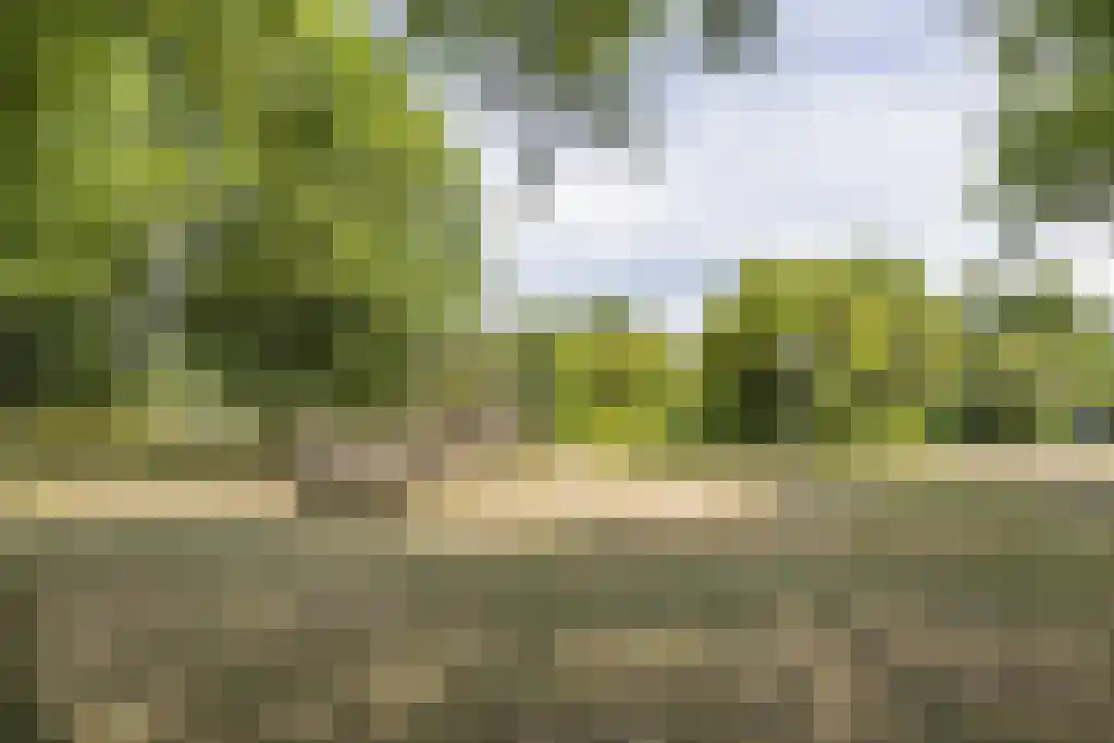 Distelvink 25 Veenendaal thumbnail 31