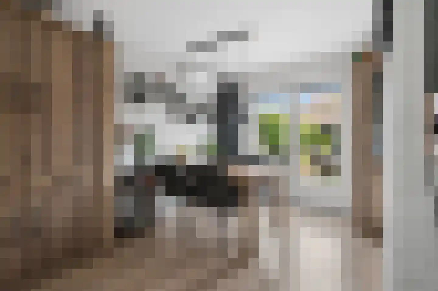 Distelvink 25 Veenendaal thumbnail 8
