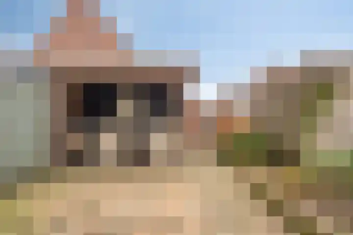 Distelvink 33 Veenendaal thumbnail 14