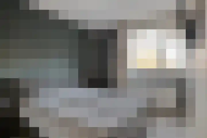 Distelvink 33 Veenendaal thumbnail 15