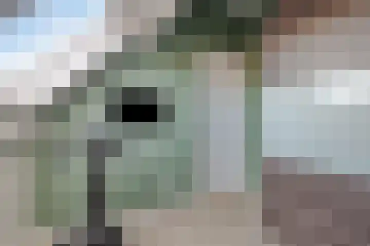 Distelvink 33 Veenendaal thumbnail 25
