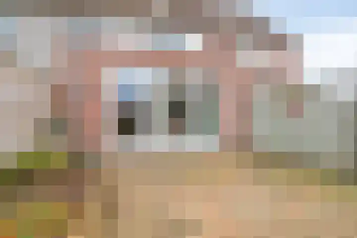 Distelvink 33 Veenendaal thumbnail 27