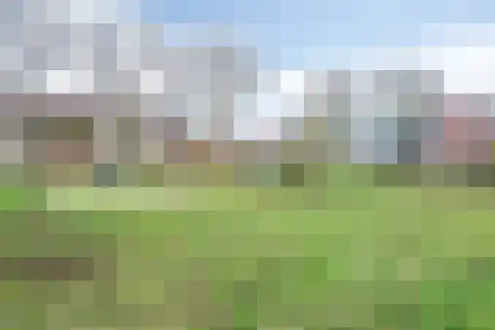 Distelvink 33 Veenendaal thumbnail 28