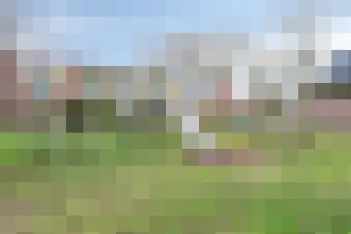 Distelvink 33 Veenendaal thumbnail 29